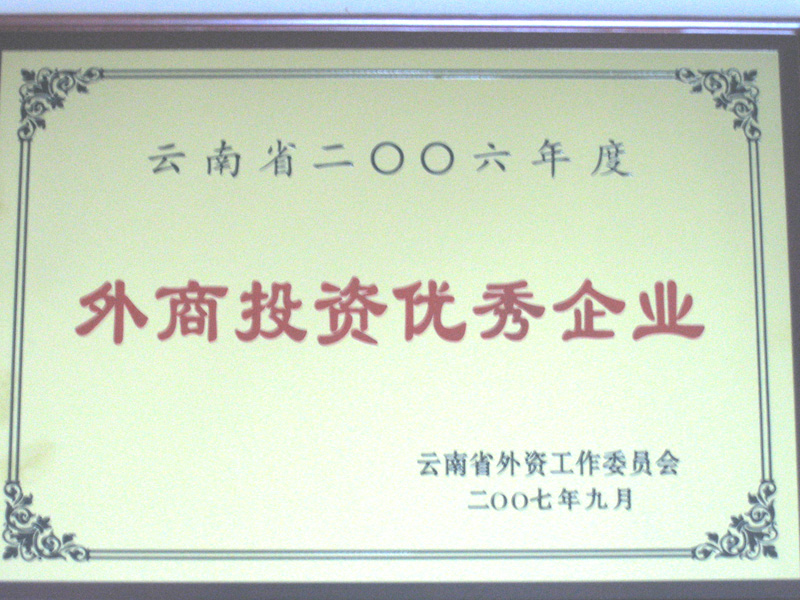 2006年度“外商投資優秀企業”