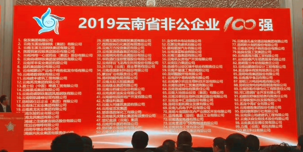 “2019云南省非公企業100強”