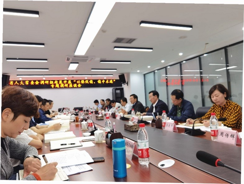 公司代表參加“以保促穩(wěn)、穩(wěn)中求進(jìn)”專題調(diào)研座談會