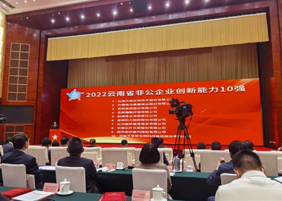 “云南非公企業百強”和“云南非公企業創新能力十強”